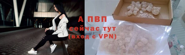 дмт Мегион