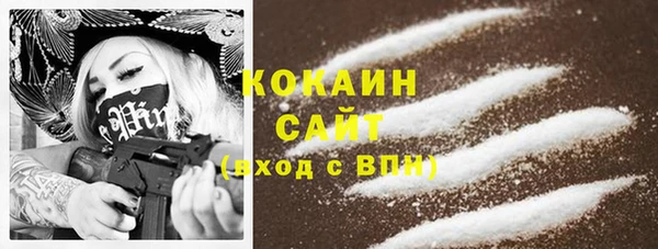 дмт Мегион
